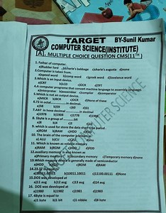 The brain of the computer is known as... | Filo