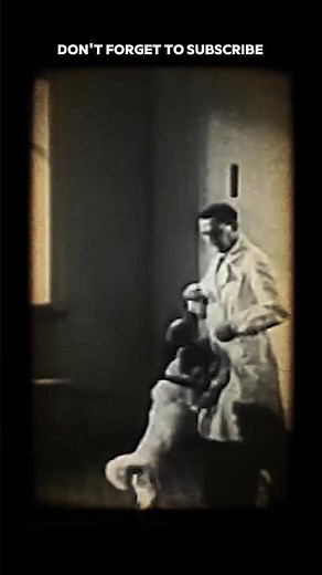 Pavlov’s Dog Experiment Explained in 60 Seconds#mystery