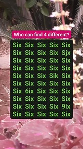 Who can find 4 different? #reelschallenge #usareels #IQ #challenge #mistake #brainteasers #brainteaser #puzzletime #foryouシ #puzzle | Viral Clips