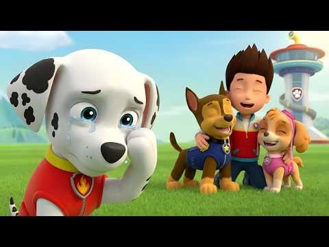 OH NO! NO MORE ROOM FOR MARSHALL? 💔 Ryder and the Pups Ignore Their Friend | PAW Patrol 3D Animation