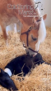 124K views · 5.9K reactions | It is with heavy hearts that we share...