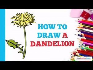 How to Draw a Dandelion in a Few Easy Steps: Drawing Tutorial for Beginner Artists