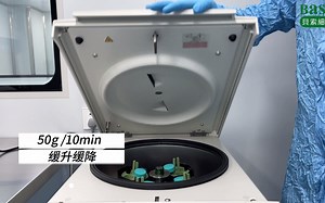 脐血分离操作演示（样本密度分离液）