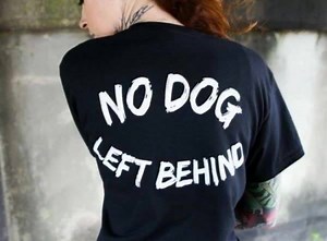 14 YEARS AGO TODAY....HURRICANE KATRINA'S WRATH CHANGED LIVES FOREVER When the storm hit, we were still living in California but we ended up taking in approx. 60 displaced Katrina dogs. Years later, fate would steer our course in a different direction and we made the move to the state where it all took place: Louisiana. This has been our location ever since and we feel like we are finally "home". Now Hurricane Dorian is bearing down on the state of Florida. They are calling it the "next Katrina"