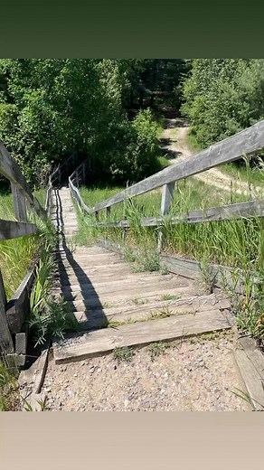 Dennis Williams on Reels