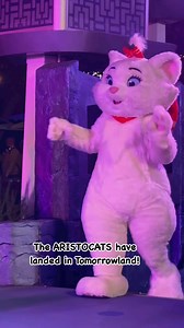 Holiday Dance Party in Tomorrowland at Disneyland! #Aristocats #Tomorrowland #Disney #Disneyland #DisneyParks #HolidayMagic #DisneyMagic #HolidaySeason #Christmas #DisneyHoliday @highlight | Elijah Bergwitz