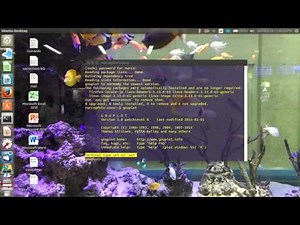 Installation of gnuplot in ubuntu