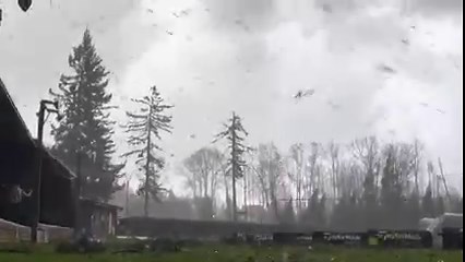 A rare tornado over the Strait of Georgia reportedly came ashore in Vancouver, B.C. on Saturday afternoon, causing minor tree damage at the University of British Columbia and immediate vicinity. Read more here: bit.ly/3CT4645 #BCStorm #BCwx | The Weather Network