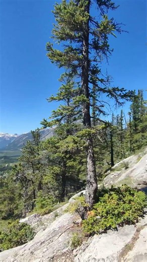 Lugares Surreais nas Rocky Mountains 🇨🇦 Parte 6 | Vista Incrível da Tunnel Mountain em Banff