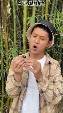 Heart # Love Rating Incentive Program