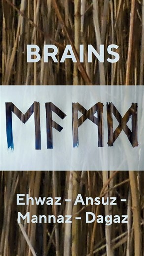 Brain Formula ᛖᚨᛗᛞ