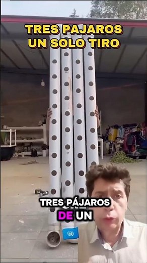 Cómo construir el SISTEMA de PRODUCCIÓN definitivo (Paso a paso) 🌿🐓