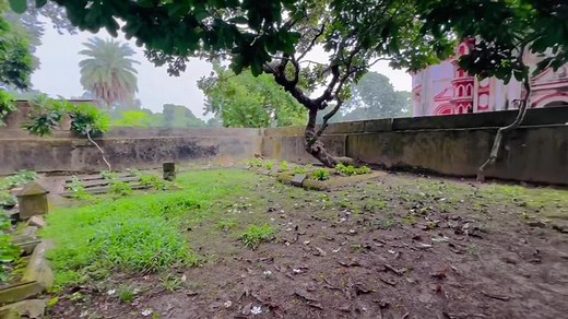 Enchanting Garden Scenes with Lush Green Foliage