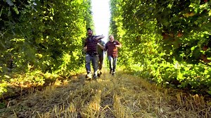 Every day's a holiday with Celebration. | Sierra Nevada