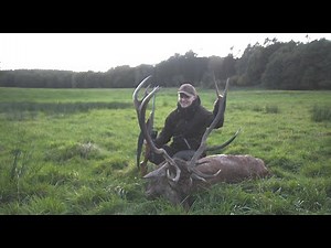 Hjortejagt i Danmark - Red stag hunting in Denmark - Hirschjagd in Dänemark 4K #3