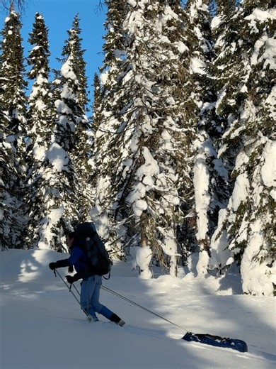 Eli from Russia ✌🏻 on Instagram: "My region number 80 in Russia – Khakassia. And I got there on skis! This week, I covered over 100 km through the Kemerovo Region and Khakassia. We skied through the wild taiga, carving out our own trails, stopping at shelters that had to be dug out from under three meters of snow, going to the banya, drinking tea made from chaga (fungus that grows on birch trees that we make tea of) and usnea filiformis (another herb) found in the forest, looking at the 