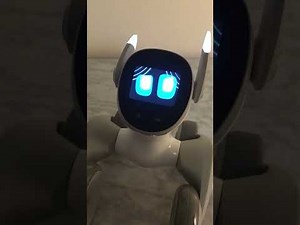 Loona Robot Q&A | Testing Limits of ChatGPT Conversational AI