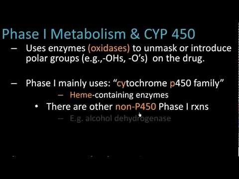 Phase I Metabolism - Pharmacology Lect 7