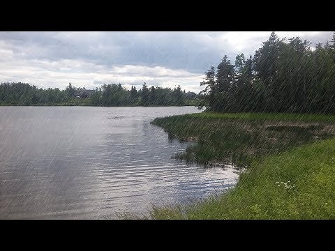 How to add rain to a photo with PaintShop Pro