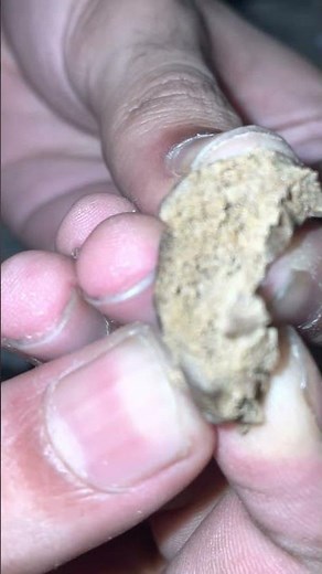 Pure Afghani Hash - Yellow/Gold Garda