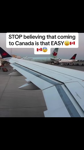 STOP believing coming to Canada is that EASY. Click on the link in my bio to find job offers. #canada #immigration #immigrationcanada2023 #immigrationcanada #immigratetocanada #immigrant #immigrants #canadians #canadian #jobs #permanentresidency #internationalworker #traveltocanada🇨🇦 #canadianvisa ##visa #workers #workpermitcanada🇨🇦 #workpermitcanada
