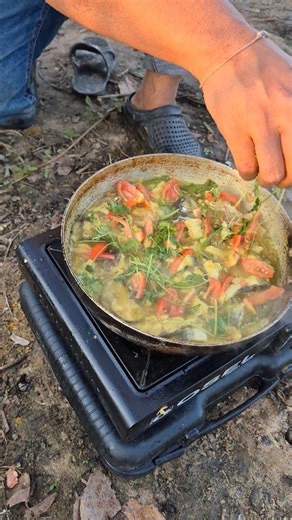 পোর্টেবল চুলায় মাছ রান্না | Rusho taste on