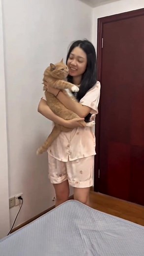 189K views · 11K reactions | This is every time when he wanna get in . #pet #kitten #cat #loveit #reelschallenge #fypシ | My Little Kid | Facebook