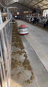88K views · 1.3K reactions | “Impressed by the efficiency of an automatic feed pusher I saw during my visit to a Dutch farm!  It pushes feed 5-6 times a day, ensuring cows get the best nutrition. #FarmingTech #DairyFarming #Innovation” | ANAN dairy farm | Facebook