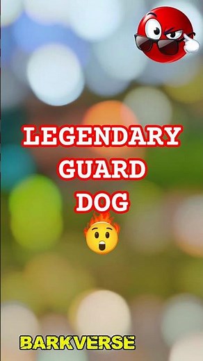 The Alabai: The Giant Guardian Dog Built to Protect 🐕💪