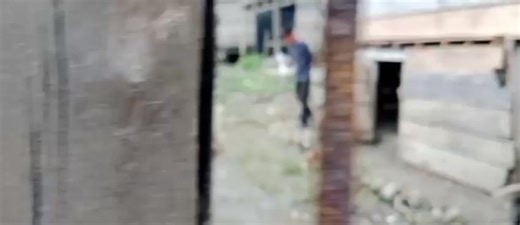 Capcut: Video Editing Tips for Creators