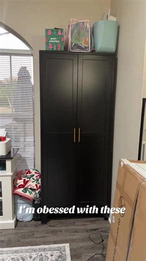 Affordable Metal Cabinets for Office and Pantry Organization