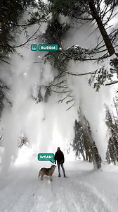 Look at all that snow 🤩❄️ | Furry Tails