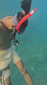 78K views · 782 reactions | "Bottom Sampling Underwater" #underwater #training #diving | Ghaz Wild | Facebook