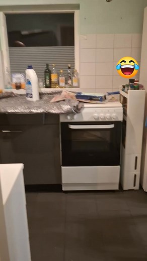 50 reactions · 20 comments | Hyper boyfriend, working makes him crazy藍藍#workfromhome | Samantha Boco | Facebook