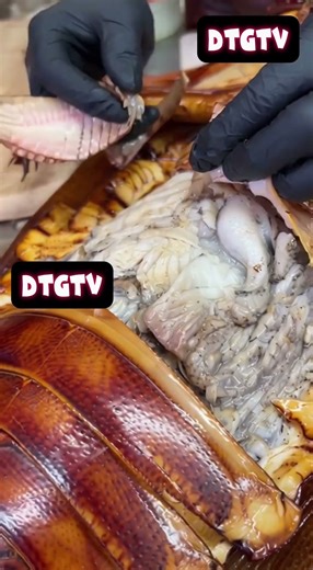 Roach soup was a hit 🍜🪳 #funny #comedy #roach #cockroach #cooking #recipes #recipesshorts