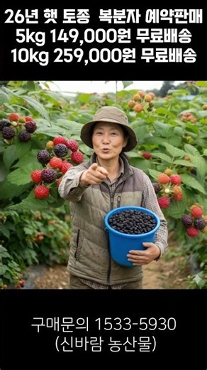[신바람 농산물 협력농가 판매상품 - 26년 햇 토종 복분자 예약판매합니다 ] 시골집매매, 농가주택매매, 전원주택부지 매매