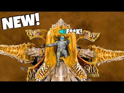 HELLDIVERS 2 WTF & Funny Moments #6