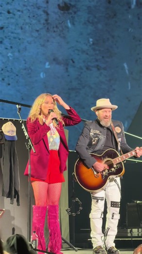 All I want to do… is be at this concert again 🤠🎶 @Sugarland #sugarland #alliwanttodo #countrymusic #nashville #livemusic @Kristian Bush