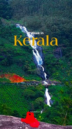 Kerala Tour and Trips on Instagram: "🌴 Enchanting Kerala Tour – God’s Own Country 🌴 Misty Hills • Backwaters • Wildlife • Golden Beaches • Spiritual Kerala 📌Day 1: Arrival in Kochi & City Exploration 📌Day 2: Scenic Drive to Munnar with En Route Attractions 📌Day 3: Munnar Local Sightseeing Experience 📌Day 4: Scenic Transfer to Thekkady with Wildlife & Spice Encounters 📌Day 5: Journey to Alleppey with Houseboat Cruise & Coastal Exploration 📌Day 6: Scenic Drive to Varkala with Coastal and C