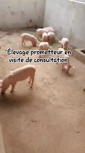 2.5K views · 33 reactions | L'indice de conversion alimentaire (ICA)...