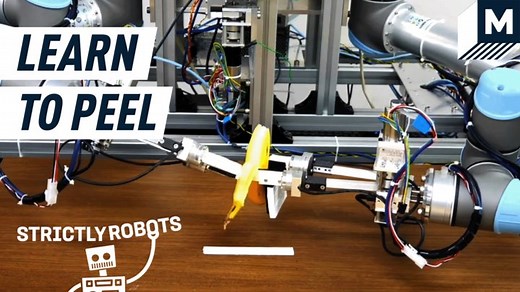 Researchers from the University of Tokyo taught a robot how to peel bananas. The method used to achieve this is called "deep imitation learning." It's meant to teach machines how to become more human in the way they carry out tasks, with the long term goal of giving robots the skills they need to utilize a more delicate touch. | Mashable