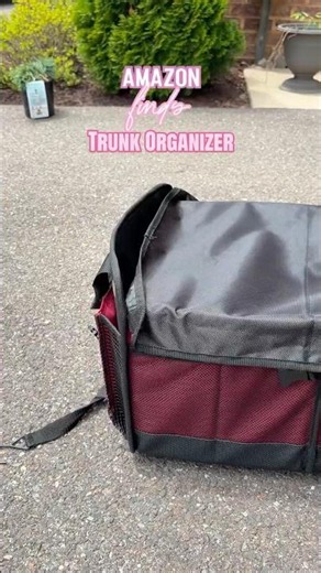 Fortem Trunk Organizer Cooler Review: Best Car Storage for SUV?