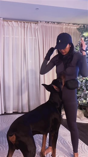 Little Tricks to Teach Your Doberman Puppy