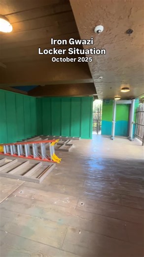 Grace ✞ on Instagram: "A lot of you guys know the locker situation with Iron Gwazi. Earlier this month, Iron Gwazi implemented a metal detector system (or at least tried to), so it looks like no phones, GoPros, keys, etc can not be taken in the queue station. (Think of Velocicoaster or Steel Vengeance as to what they are trying to do). On top of that, they also made riders pay for lockers the first day they tried this. It looks like this did not work out in the end because there are few lockers,