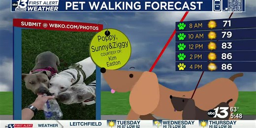 Another hot and hazy day!