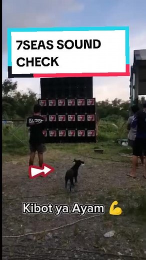 Experience the Enhanced Power of 7SEAS DISCO MOBILE by Team Stroker