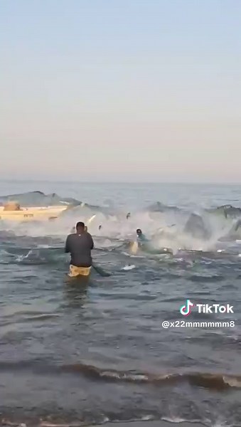 عالم البحار: اكتشاف أروع أنواع السمك