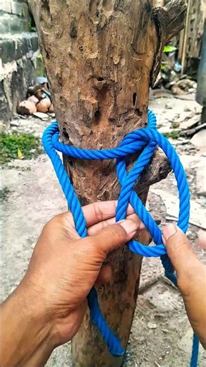 The Bowline Knot Explained !