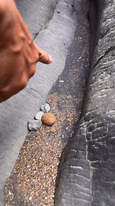 38K views · 411 reactions | what kind of raw gold  | Amrin Prospecting | Facebook