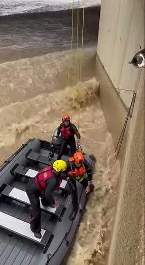 Caught on Camera: Dramatic Flood Rescue in the United States